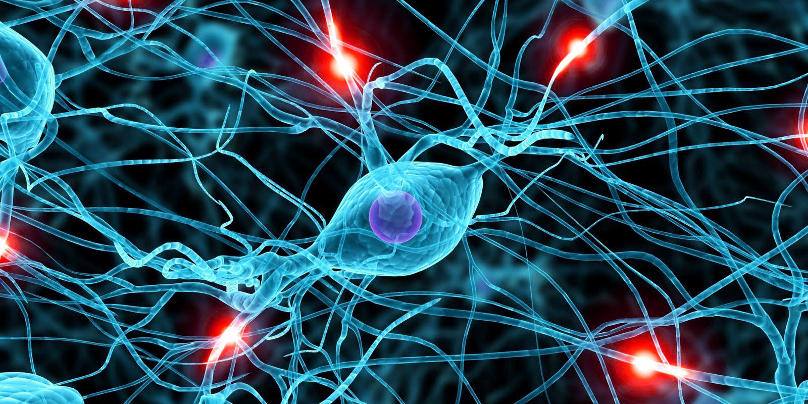 neurologia