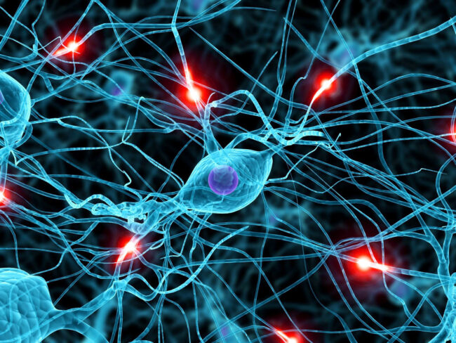 neurologia