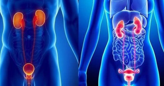 Centro Medico Jervis 22 Ivrea UROFLUSSOMETRIA Massarelli e Billia