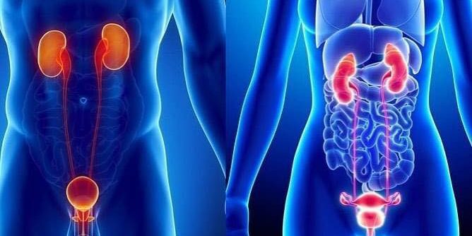 Centro Medico Jervis 22 Ivrea UROFLUSSOMETRIA Massarelli e Billia