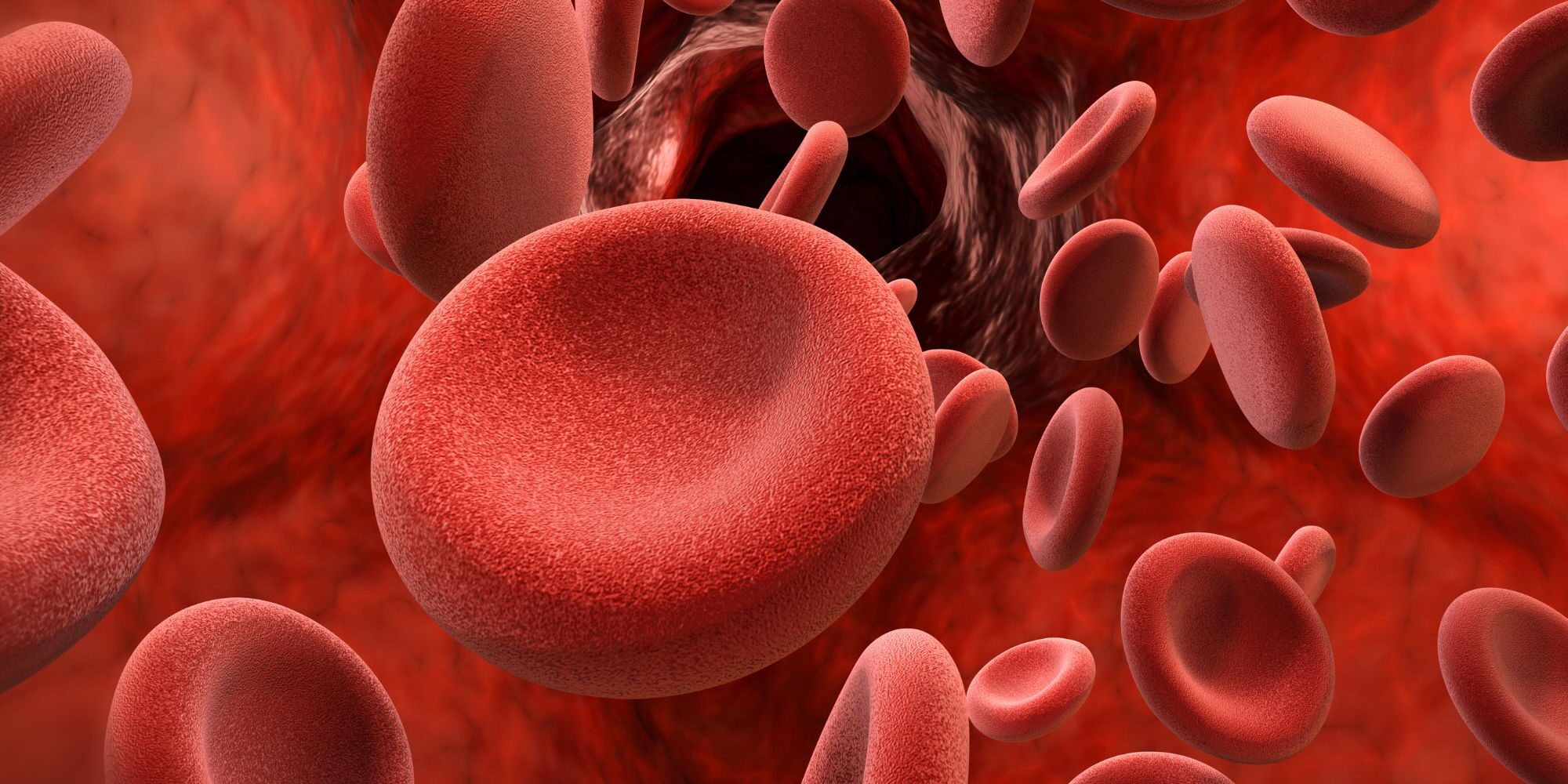 sito EMATOLOGIA Poliambulatori Medici Jervis 22 Ivrea Masso Sport Oglianico